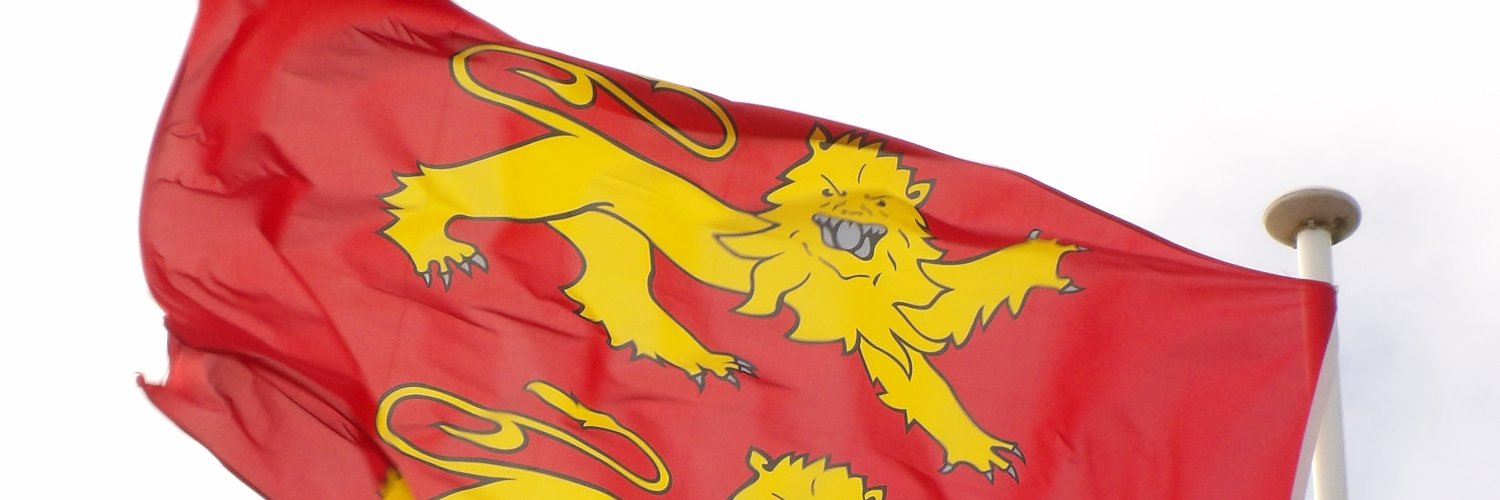 Kévin Depois banner