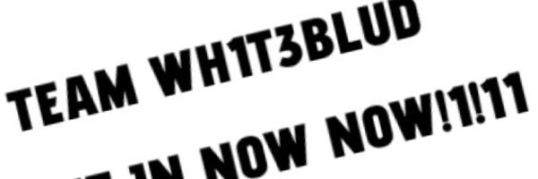 Xeni_stuff Profile Banner
