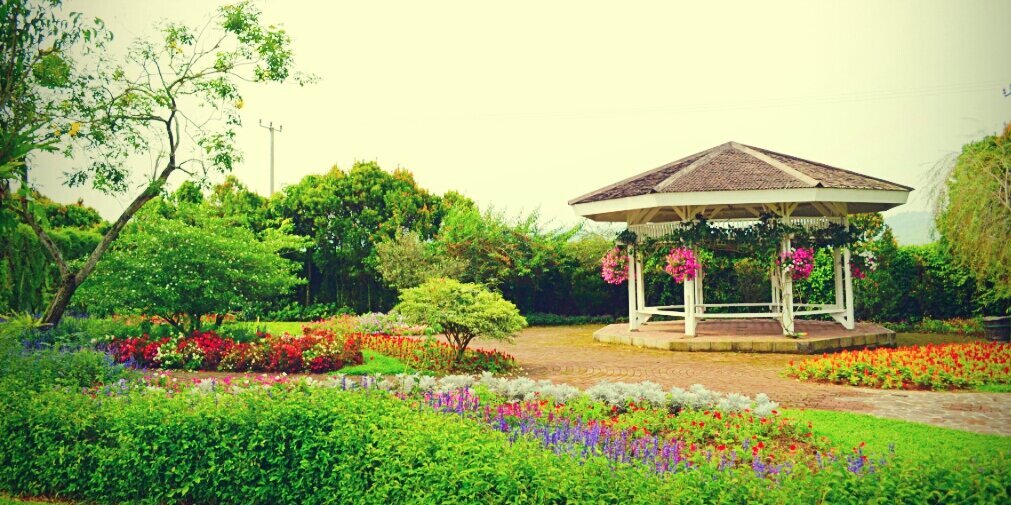 Eka Wicaksana Putra 📊 banner