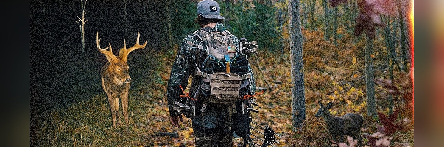 WildMitten's profile banner image