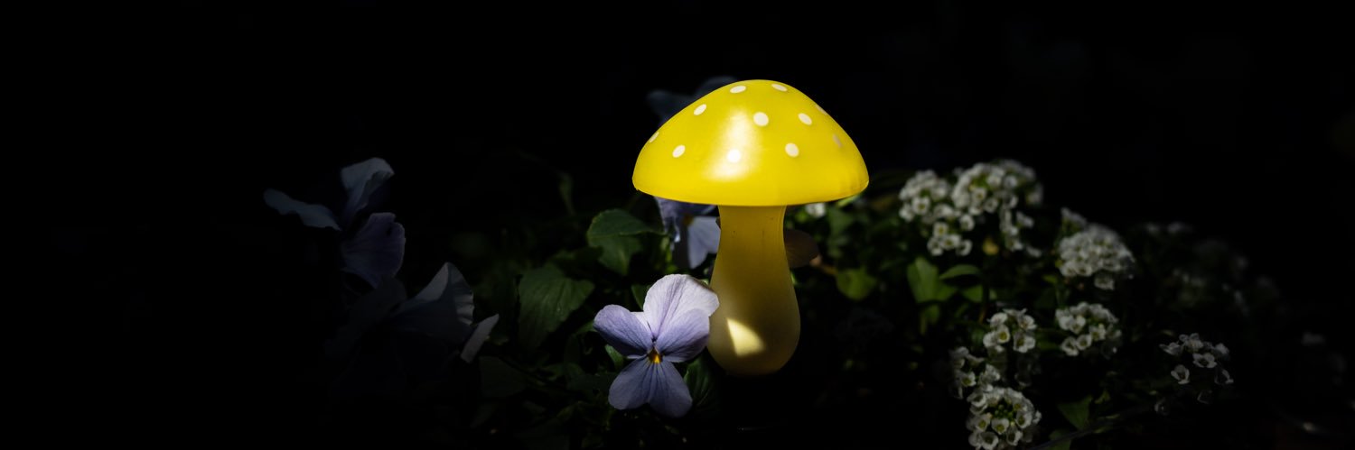 bumble_a_B バンブラビー banner