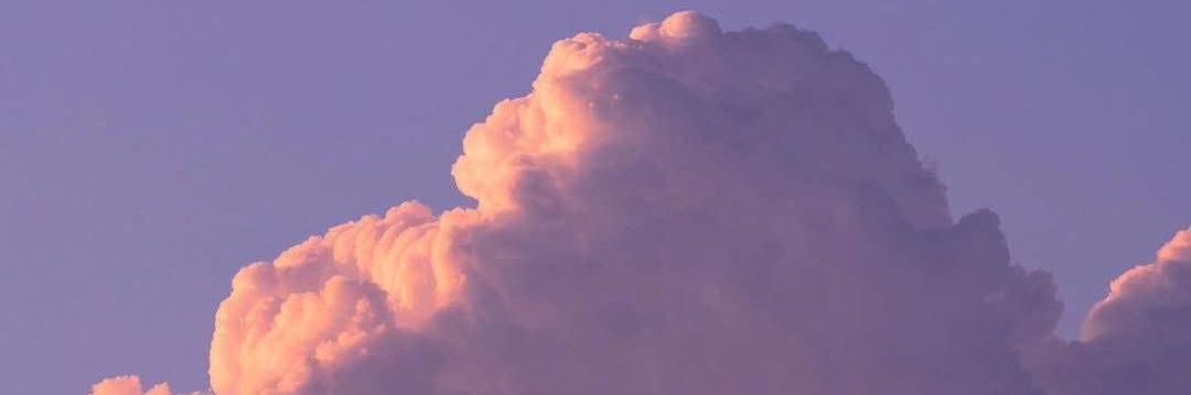 WS5400's profile banner image