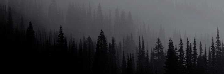 pwrrifer's profile banner image