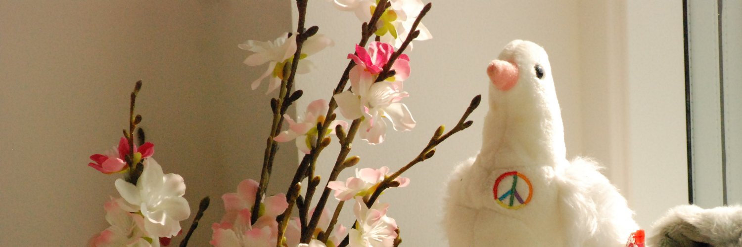 PueraDea's profile banner image