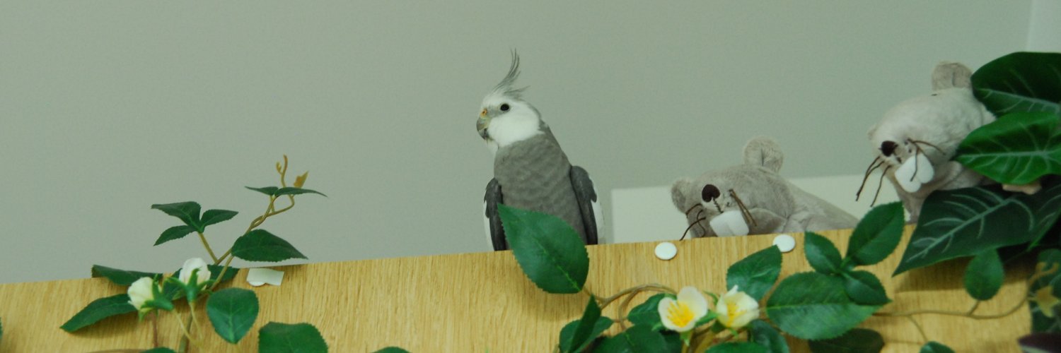AvibusDea's profile banner image