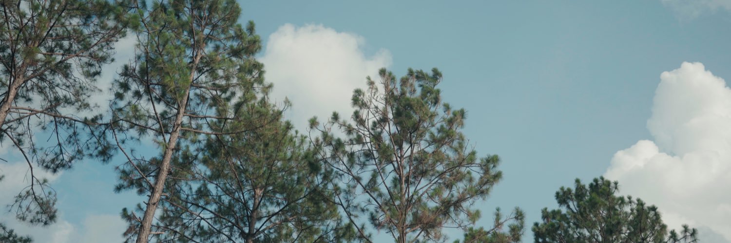 yonodactyl's profile banner image