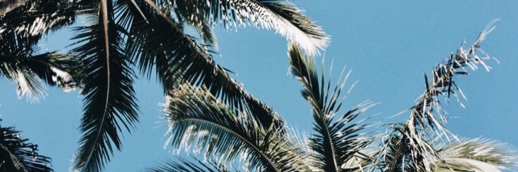 Carly_Syme's profile banner image