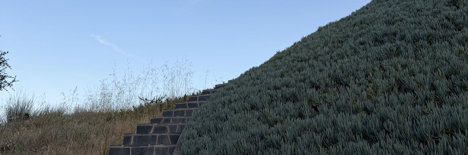 cmithelman's profile banner image