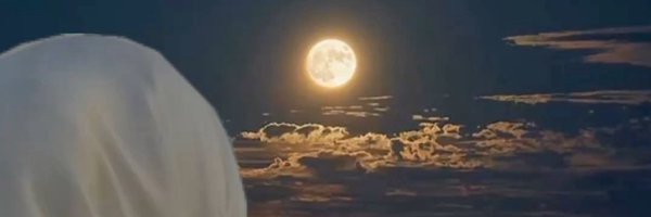 kitty_7861 Profile Banner