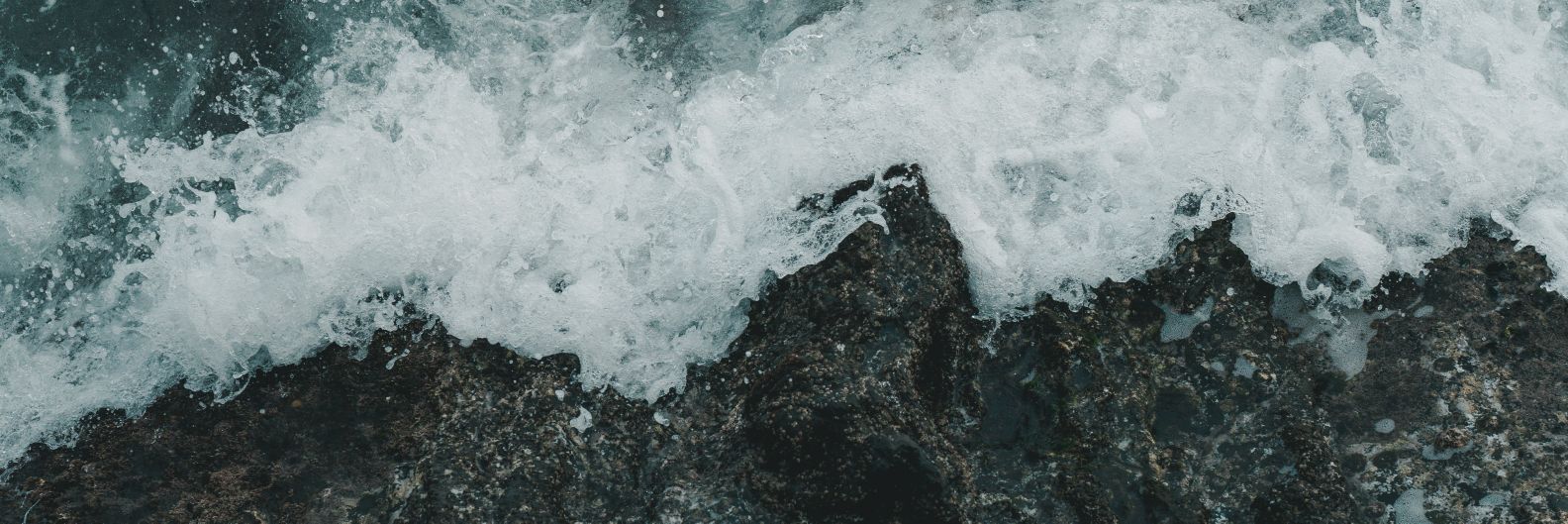 Xavier Trilla banner