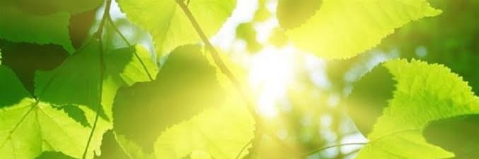 deebelongs's profile banner image
