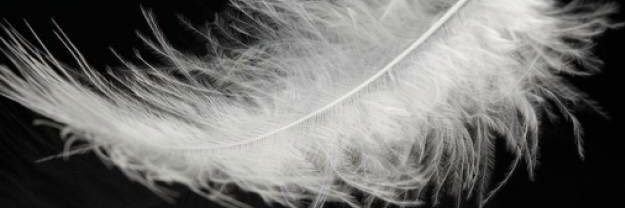 karlappleby's profile banner image