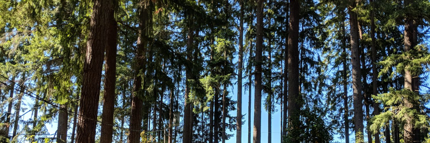 Stacey Higginbotham banner