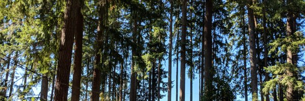 gigastacey Profile Banner