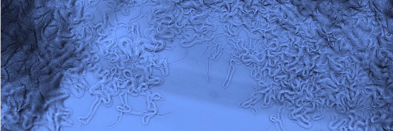 Larry Aaronson 🇺🇦 banner