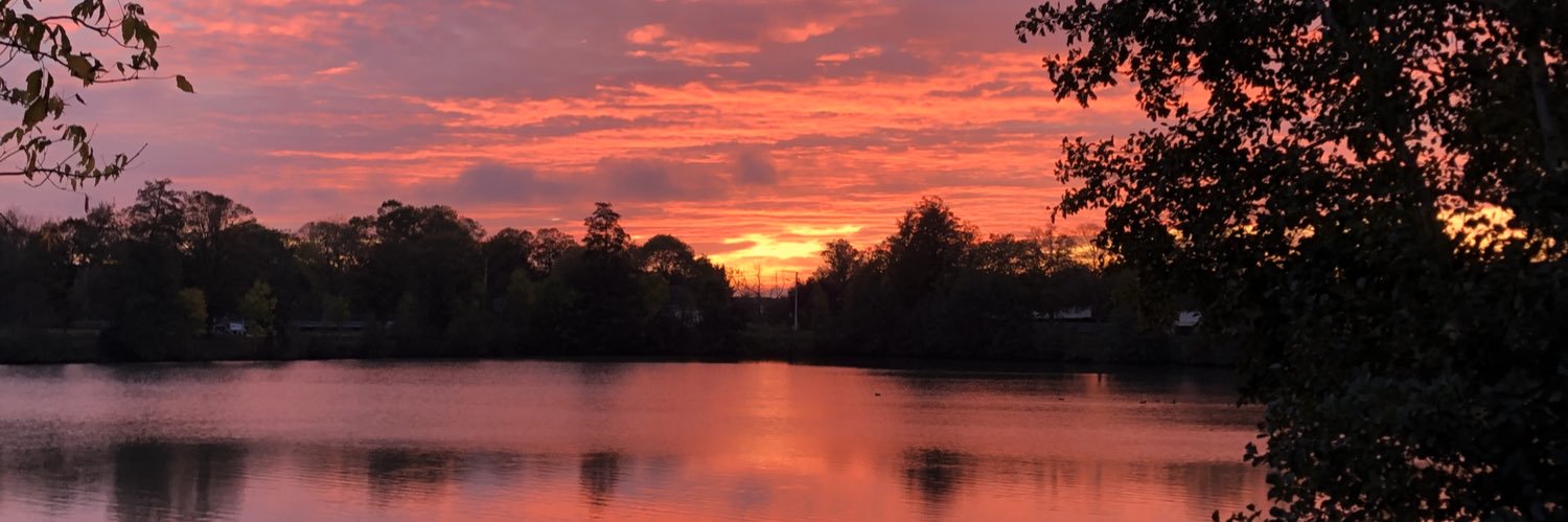 Marie-France 😺😺 banner