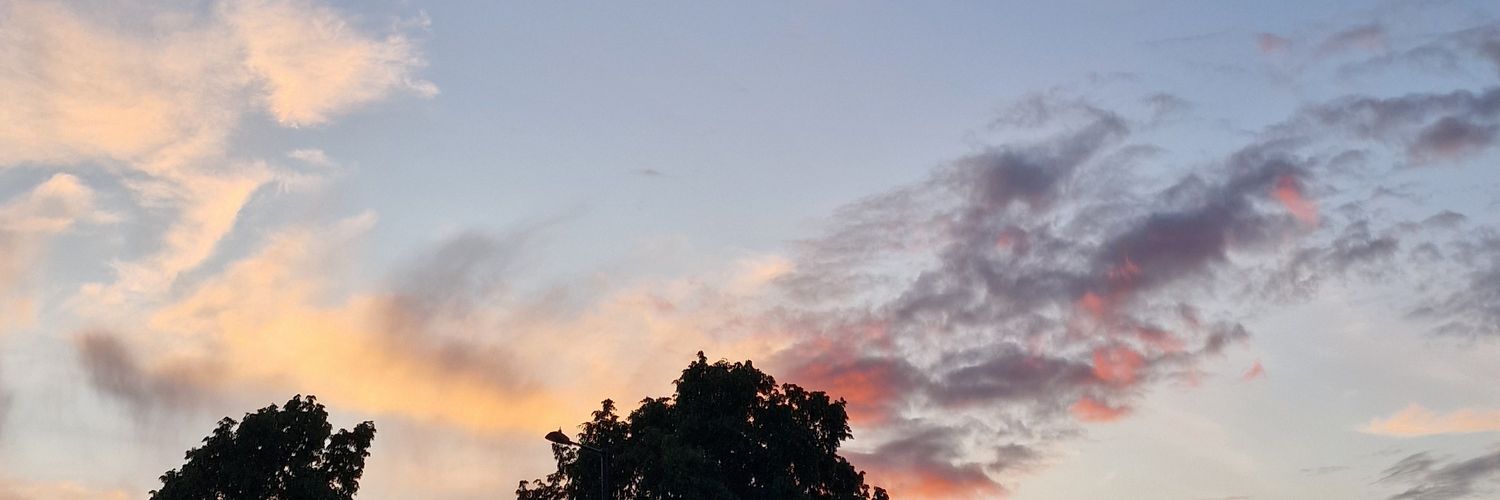 bsohal1's profile banner image