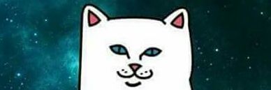 Howdak_'s profile banner image
