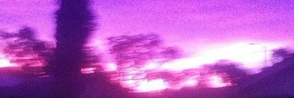 ghostbidder Profile Banner