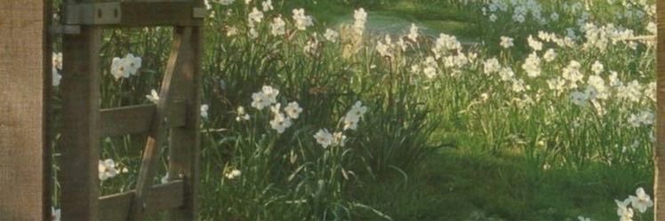 Spence. banner