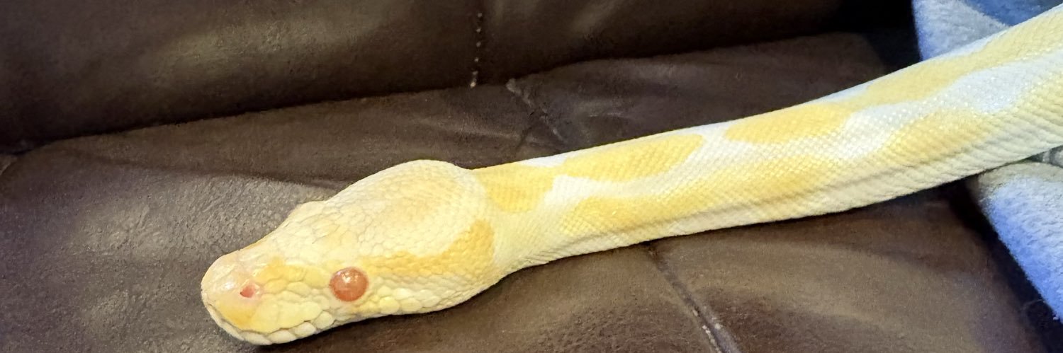 モコナ@もんぱら図鑑企画中 banner