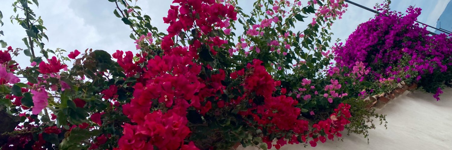 alejandraja99's profile banner image