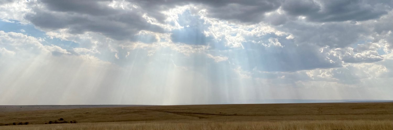 markvermaire's profile banner image