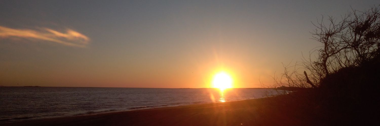 jose_perro_'s profile banner image