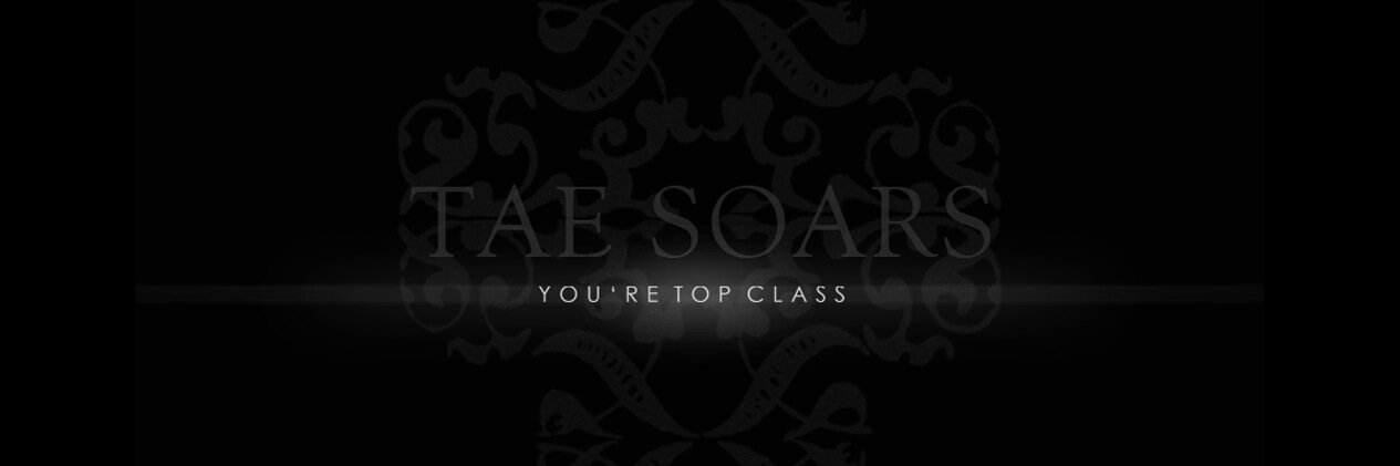 TaeSoars's profile banner image