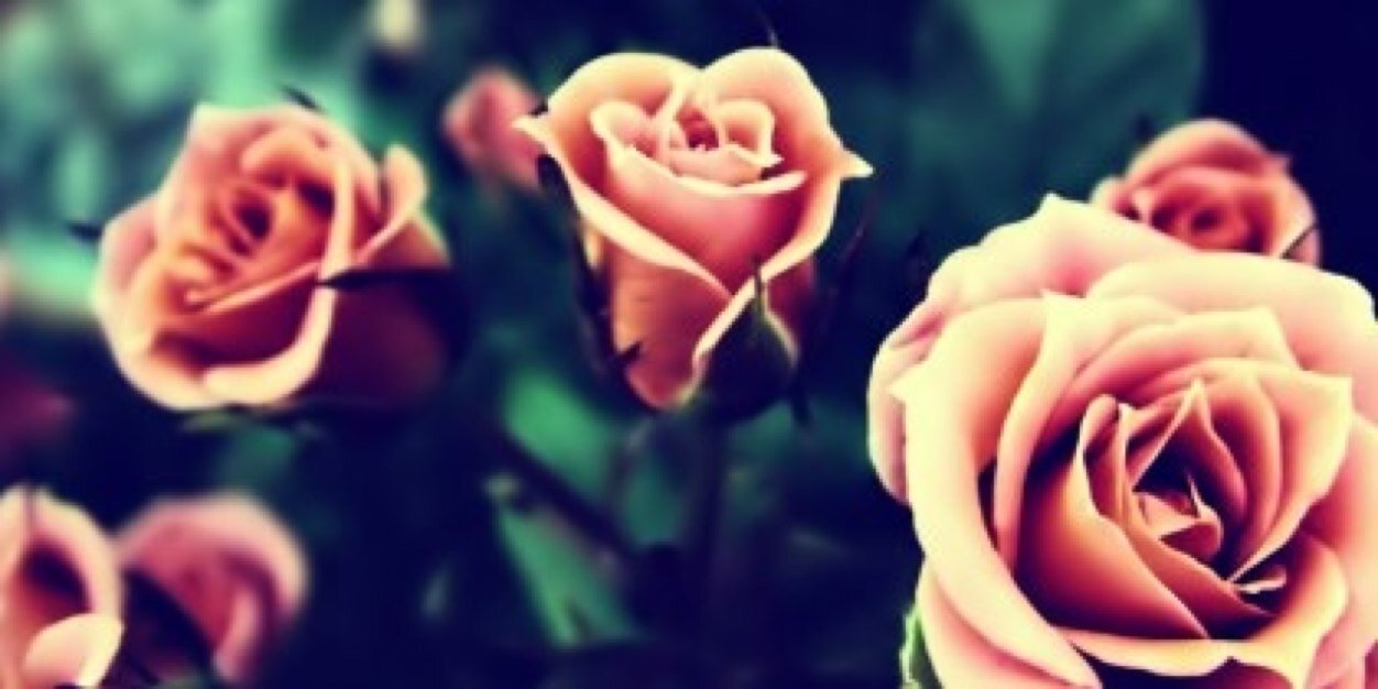__2721's profile banner image
