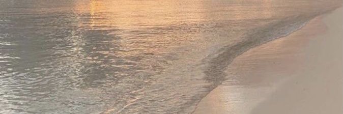 afiqahyzd's profile banner image