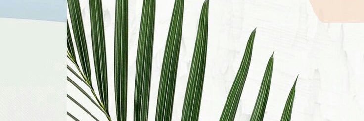 hannah-grace banner