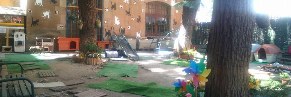 Jardinet dels Gats banner