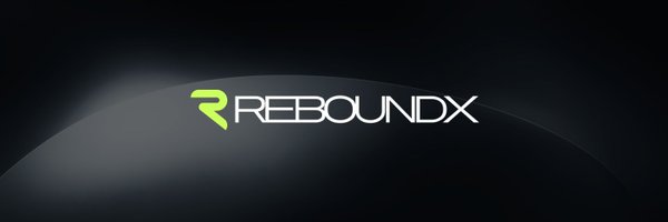 reboundx_net Profile Banner