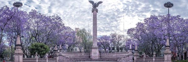 JDMQ7727 Profile Banner