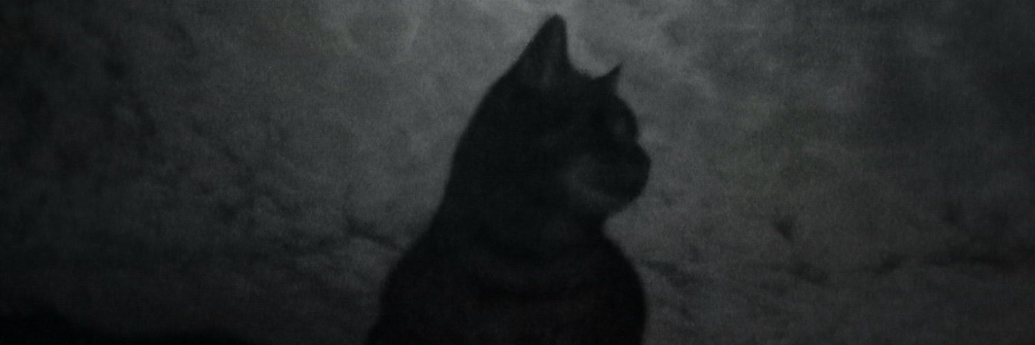 𝙶𝚛𝚎𝚐𝚘⋆ banner