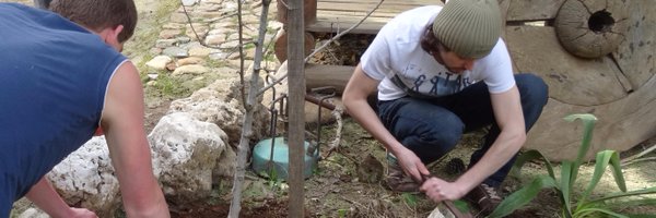 BloomFoundatio1 Profile Banner