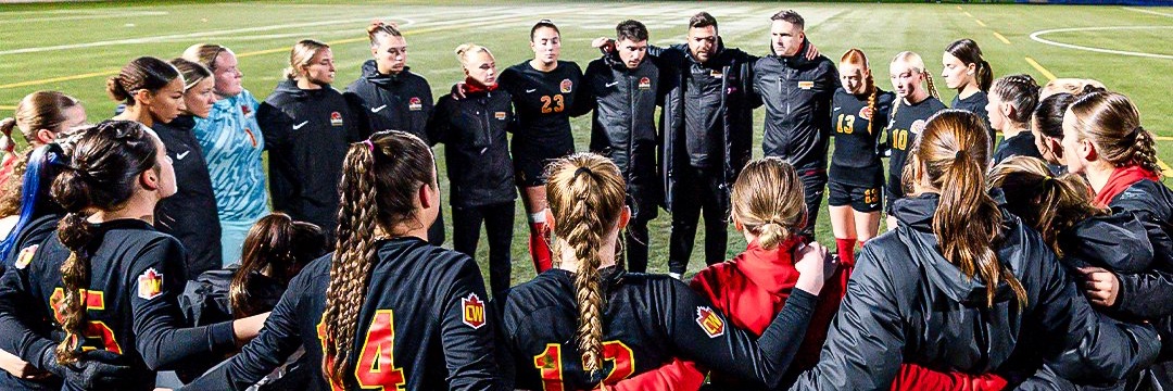 DinosWSOC's profile banner image