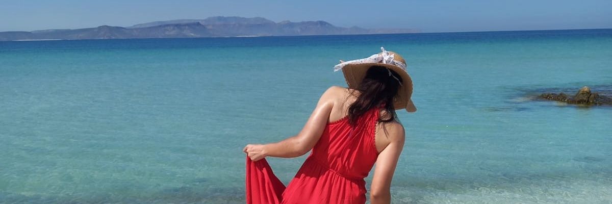 Vivi28RB's profile banner image