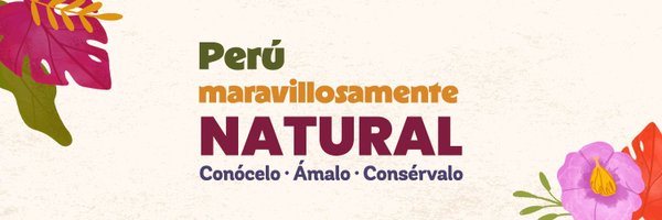 MinamPeru Profile Banner