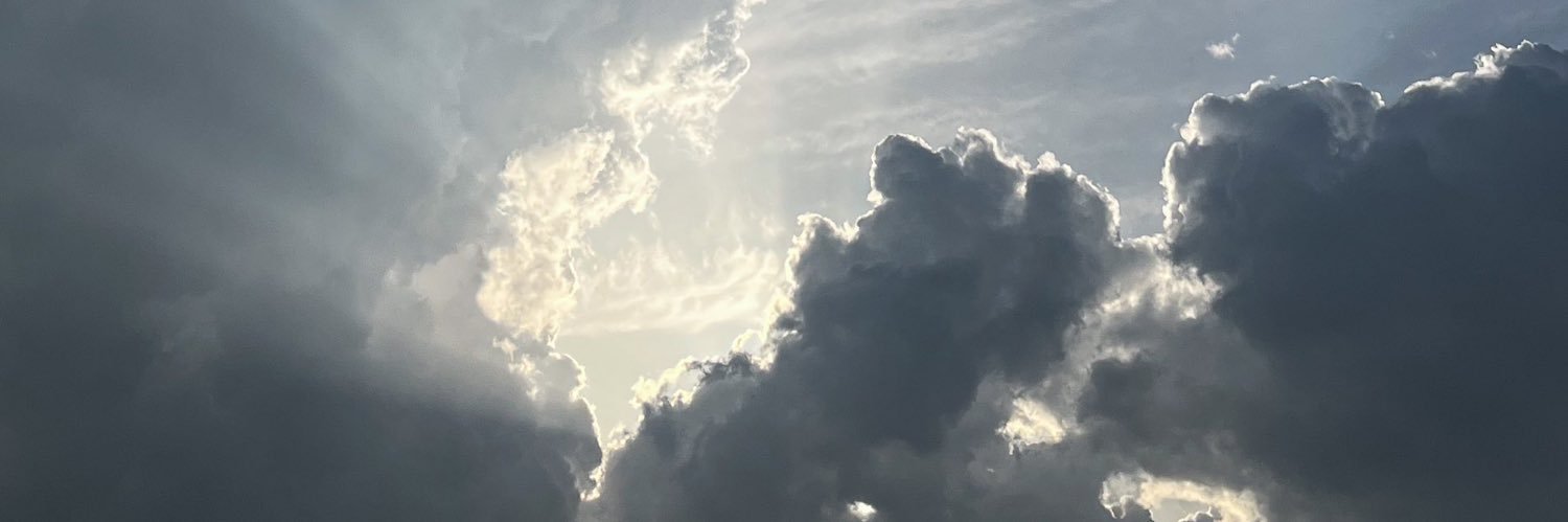 imnotsissylol's profile banner image