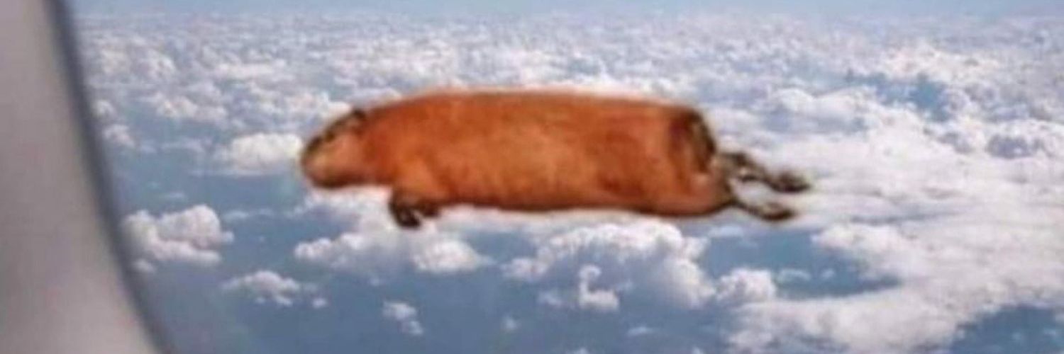 Desvariante_'s profile banner image