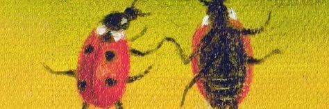 papa18608's profile banner image