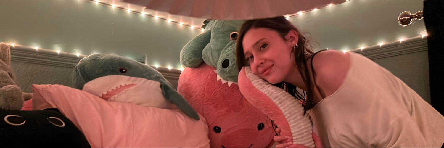 evevasqs's profile banner image
