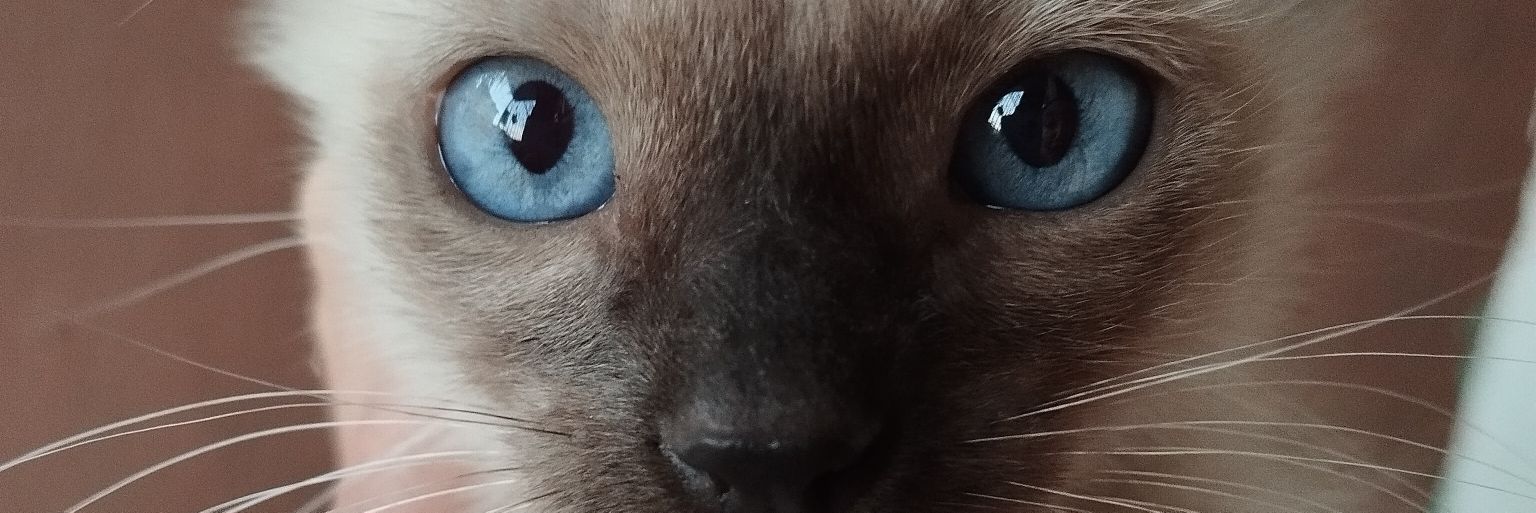 _LINARES87's profile banner image
