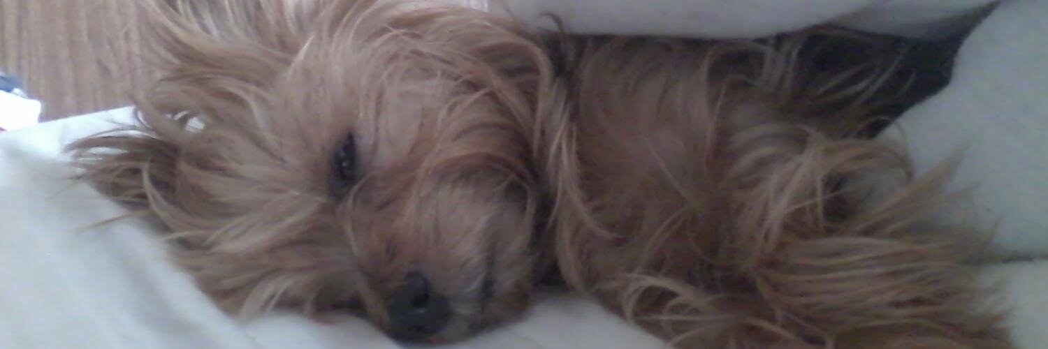 KidKarma's profile banner image