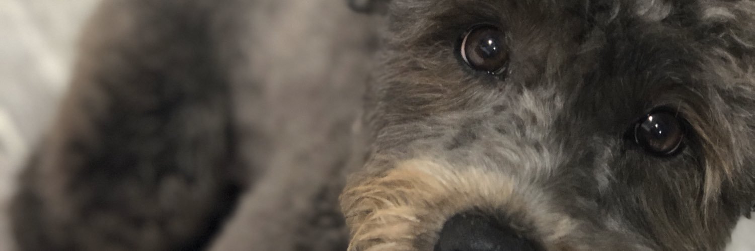 delaneykrug's profile banner image