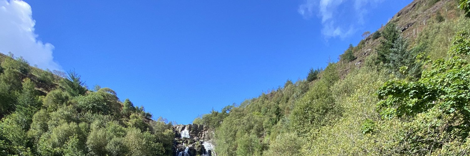 bigdickyx's profile banner image