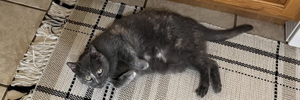 Granit3cat Profile Banner