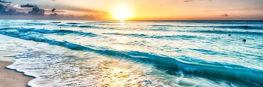 rosyint94's profile banner image